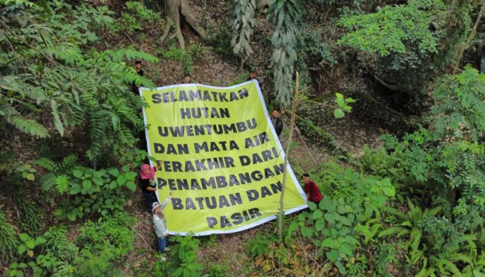 Pembangunan IKN Mengancam Hutan Uwentumbu dan Mata Air Warga Buluri