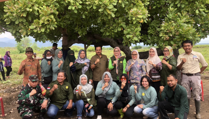 Pemkot Palu Dorong Gerakan Tanam Bawang Merah Atasi Inflasi