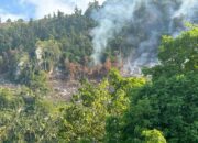 BREKING NEWS !! Lahan Hutan di Uebone Terbakar, Aktivitas Ilegal diduga Menjadi Pemicu kerusakan Lingkungan