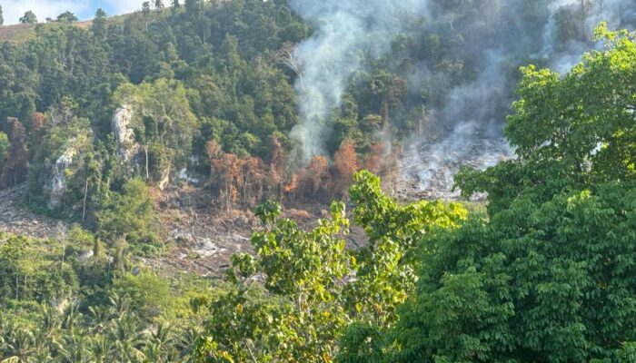 BREKING NEWS !! Lahan Hutan di Uebone Terbakar, Aktivitas Ilegal diduga Menjadi Pemicu kerusakan Lingkungan