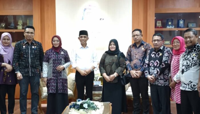 Wakil Bupati Touna Temui Gubernur Sulteng, Bahas Rencana Pembangunan SPAM IKK Batudaka